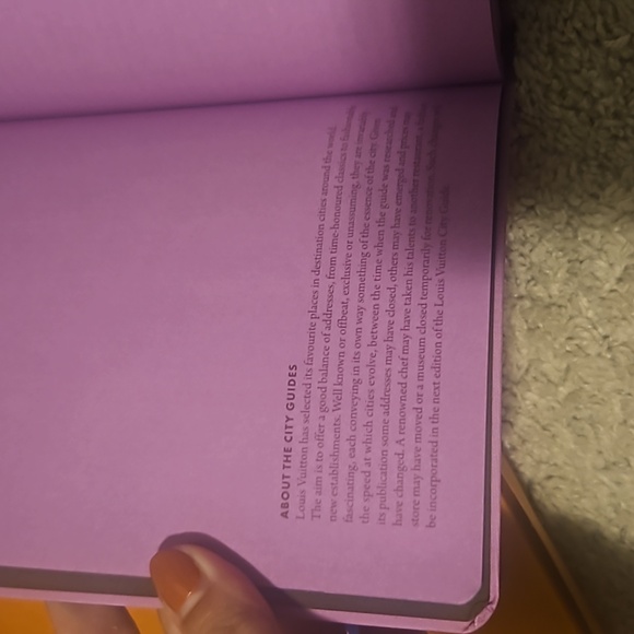 Louis Vuitton Venice City Guide - Picture 3 of 3